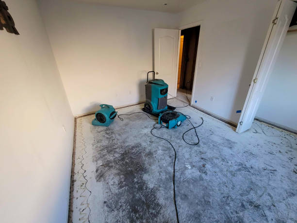 Best Water damage restoration mold remediation  in Newport, VT