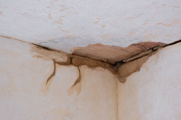 Best Water damage restoration insurance claims  in Newport, VT