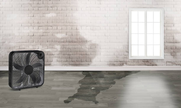 Best Ceiling water damage repair  in Newport, VT