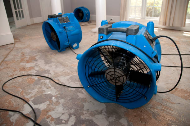  Newport, VT Water damage restoration Pros