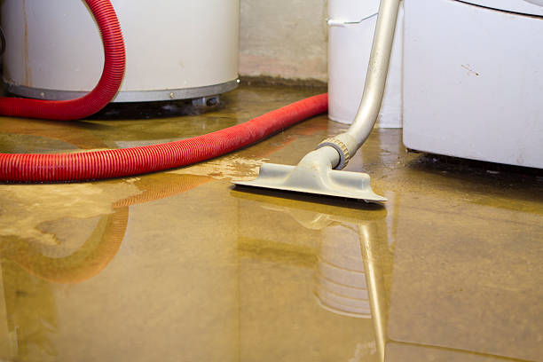 Best Water damage cleanup near me  in Newport, VT