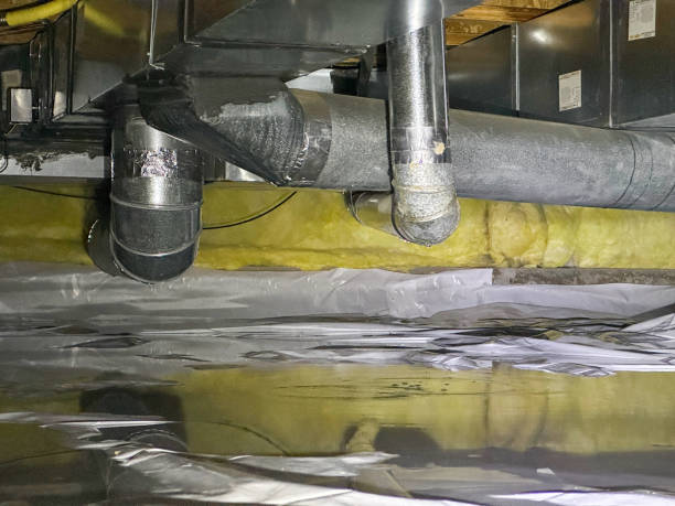 Best Flood restoration services  in Newport, VT