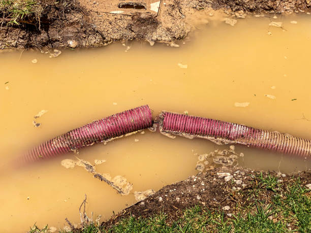 Best Residential water damage restoration  in Newport, VT